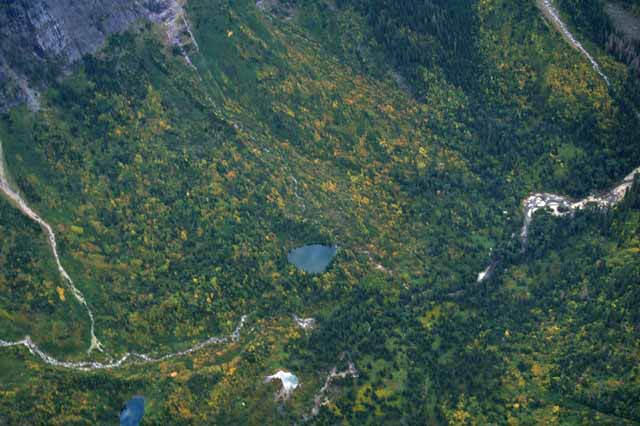 a lake among the trees